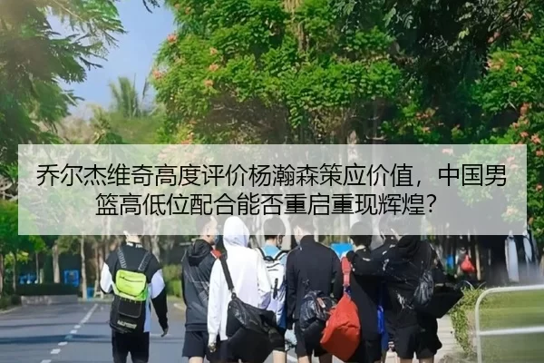 乔尔杰维奇高度评价杨瀚森策应价值，中国男篮高低位配合能否重启重现辉煌？