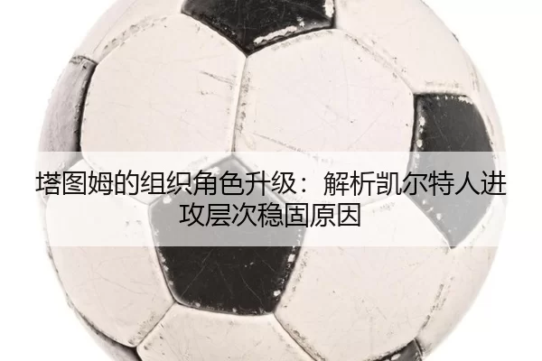 塔图姆的组织角色升级：解析凯尔特人进攻层次稳固原因